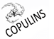 Copulins