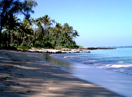 Maui Hawaii Beach
